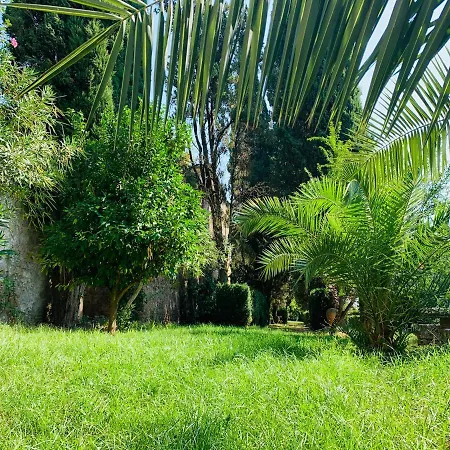 Torre Olivara